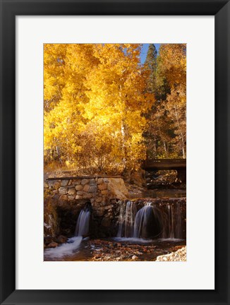 Framed Autumn Waterfalls In The Sierra Print