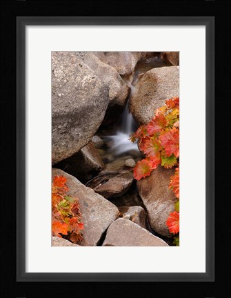 Framed Small Waterfall In The Sierra Nevada Mountains Print