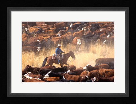 Framed Cowboy Cattle Drive Print