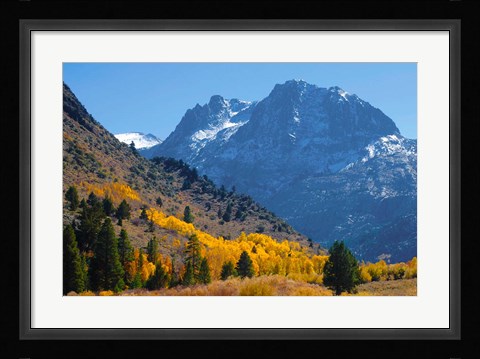 Framed Fall In Eastern California Print