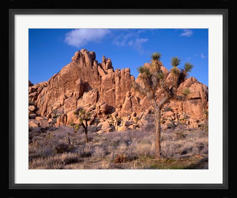 Framed Joshua Tree National Park, Trees And Mountains, California Print