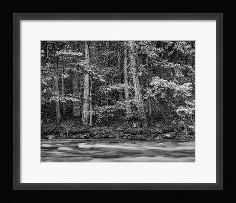 Framed California, Yosemite (BW) Print