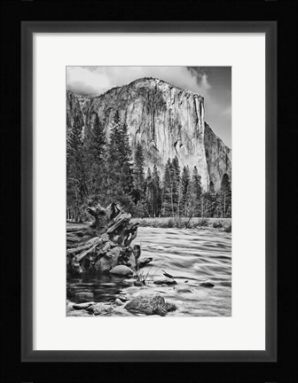 Framed California, Yosemite, El Capitan (BW) Print