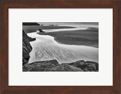 Framed California, Mendocino Jughandler Creek (BW) Print