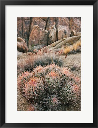 Framed California, Alabama Hills, Cactus Print