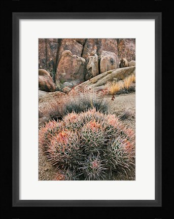 Framed California, Alabama Hills, Cactus Print