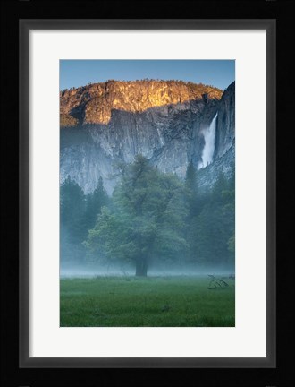 Framed Misty Yosemite Oak Print