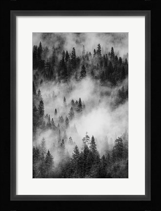 Framed Swirling Forest Mist, Yosemite NP (BW) Print