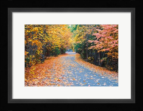 Framed Autumn Along  Mirror Lake Road Print