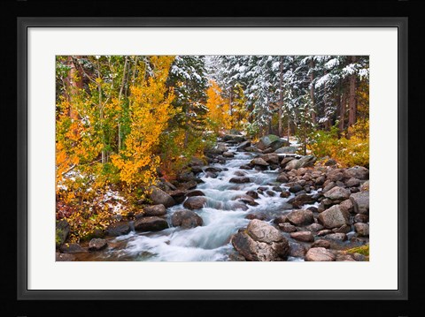 Framed Fresh Snow Along Bishop Creek Print
