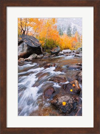 Framed Rushing Water Along Bishop Creek Print