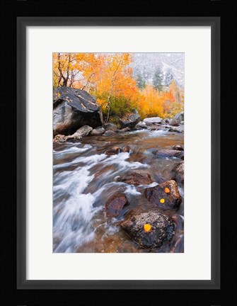 Framed Rushing Water Along Bishop Creek Print