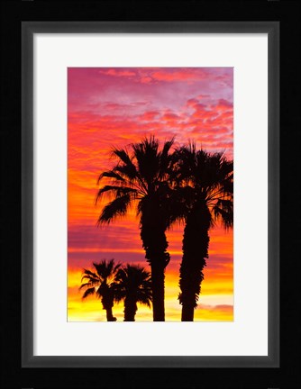 Framed Silhouetted Palms At Sunrise Print