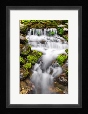 Framed Fern Spring, California Print