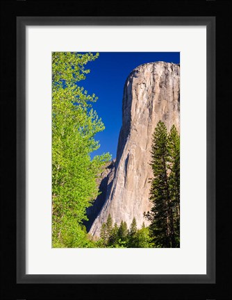 Framed Morning Light On El Capitan Print