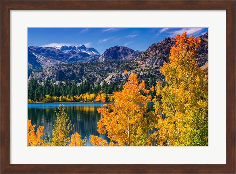 Framed Golden Fall Landscape At June Lake Print