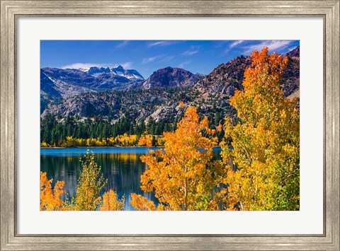 Framed Golden Fall Landscape At June Lake Print