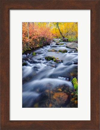 Framed Autumn Colors Along Lundy Creek Print