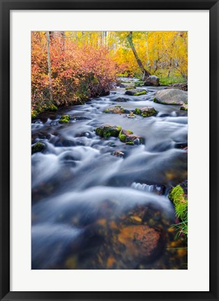 Framed Autumn Colors Along Lundy Creek Print
