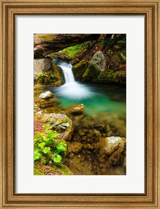 Framed Small Cascade On Hare Creek Print