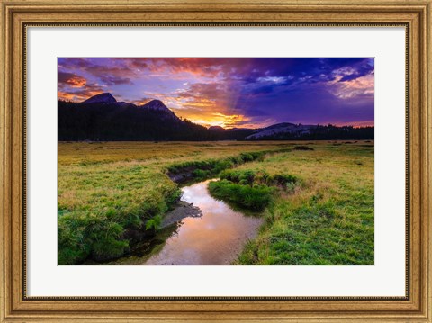 Framed Sunset Over Tuolumne Meadows Along Budd Creek Print