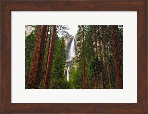 Framed Yosemite Falls Through A Forest Print