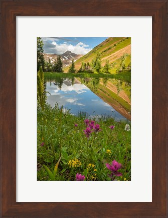 Framed Paradise Divide Pond Reflection Print