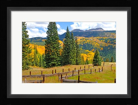 Framed Autumn Colors In The San Juan Mountains, Colorado Print