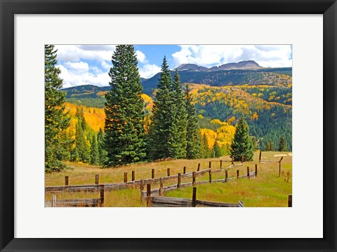 Framed Autumn Colors In The San Juan Mountains, Colorado Print