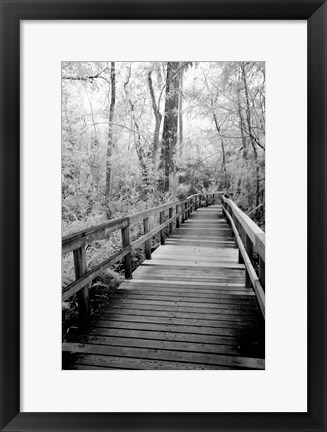 Framed Big Bend Board Walk, Florida (BW) Print