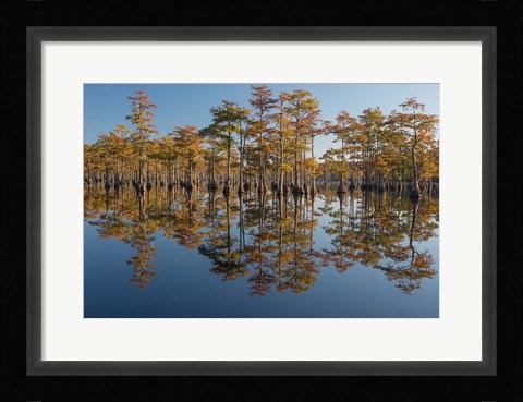 Framed Pond Cyprus In Early Morning Light, Georgia Print