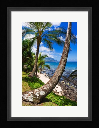 Framed Hideaways Beach, Island Of Kauai, Hawaii Print