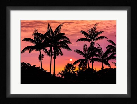 Framed Sunset Through Silhouetted Palm Trees, Kona Coast, Hawaii Print
