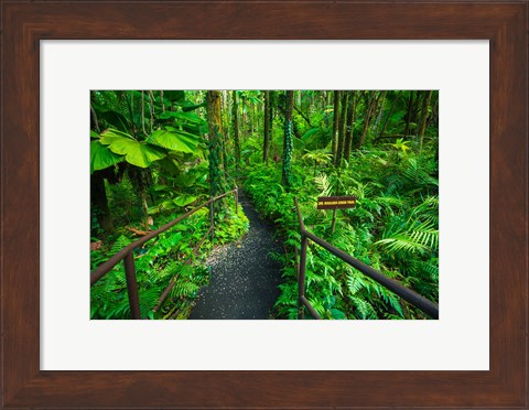 Framed Boulder Creek Trail, Hawaii Print
