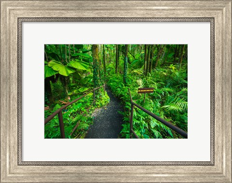 Framed Boulder Creek Trail, Hawaii Print