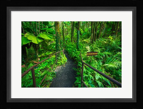 Framed Boulder Creek Trail, Hawaii Print