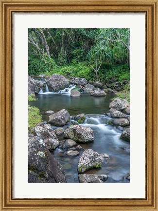 Framed Limahuli Garden And Preserve, Kauai, Hawaii Print