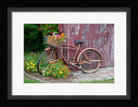 Framed Old Bicycle With Flower Basket, Marion County, Illinois Print