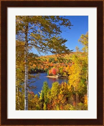 Framed Wyman Lake In Autumn, Maine Print