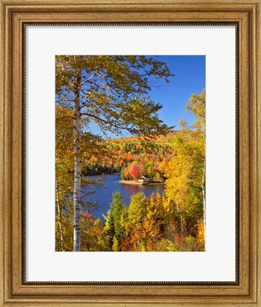 Framed Wyman Lake In Autumn, Maine Print