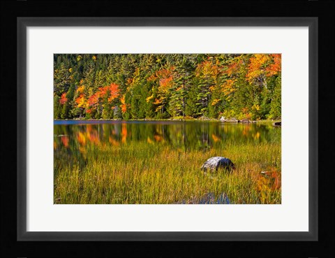 Framed Autumn Reflections In Bubble Pond, Acadia National Park, Maine Print