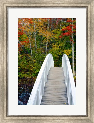 Framed White Footbridge Path, Maine Print