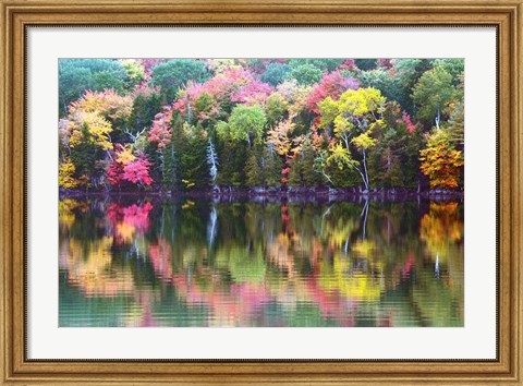 Framed Great Long Pond Reflection,  Maine Print