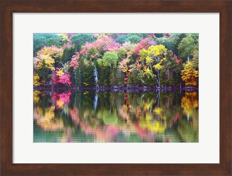 Framed Great Long Pond Reflection,  Maine Print