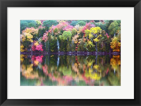 Framed Great Long Pond Reflection,  Maine Print