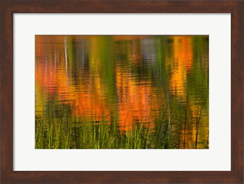 Framed Bubble Pond, Acadia National Park, Maine Print