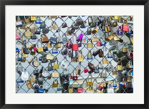 Framed Love Locks On A Fence, Portland, Maine Print