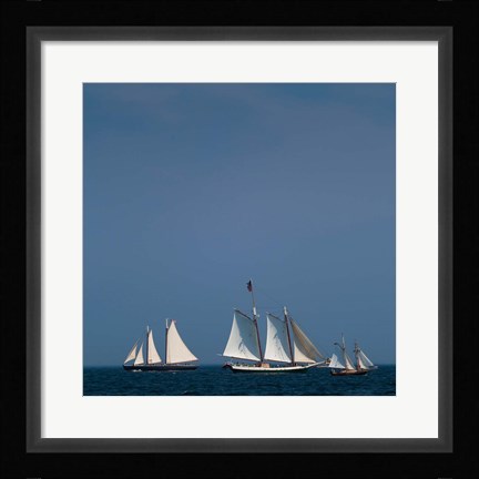 Framed Three Schooners Sailing In Cape Ann Print