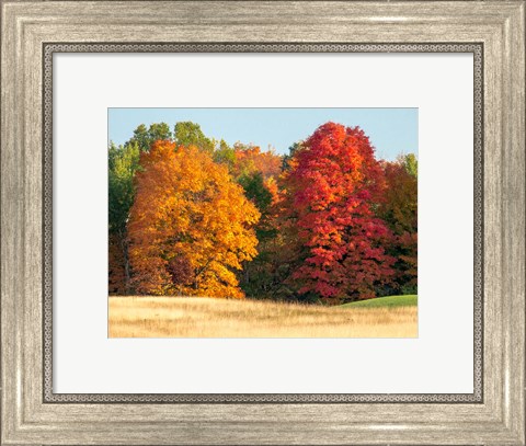 Framed Autumn In The Upper Peninsula Of The Hiawatha National Forest Print