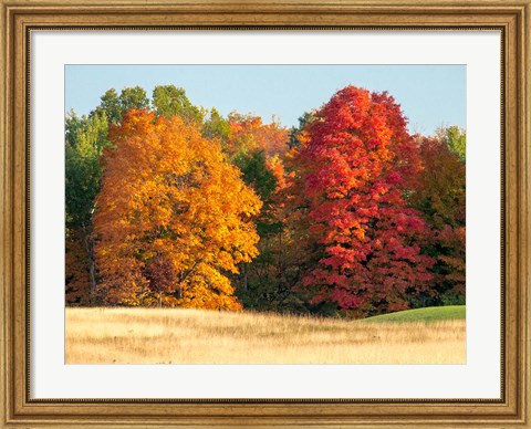 Framed Autumn In The Upper Peninsula Of The Hiawatha National Forest Print
